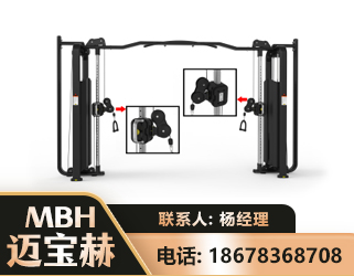 东营大飞鸟训练器