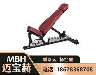 东营可调哑铃椅