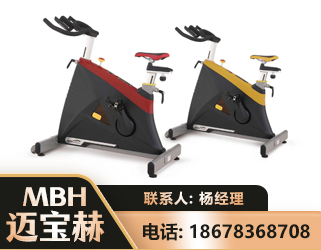 东营商用动感单车